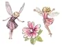 Wallies Wallpaper Cutout, Enchanted Flower Fairies