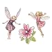 Wallies Wallpaper Cutout, Enchanted Flower Fairies