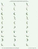 Address Labels Holly Bunch 5/pkg