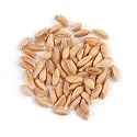 Spelt* - 25 Lb Bag Each