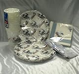 Miami Dolphins Tailgating Dinnerware Party Pack by Duck House