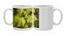 Photo Mugs of Norway maple, in flower from Ardea Wildlife Pets