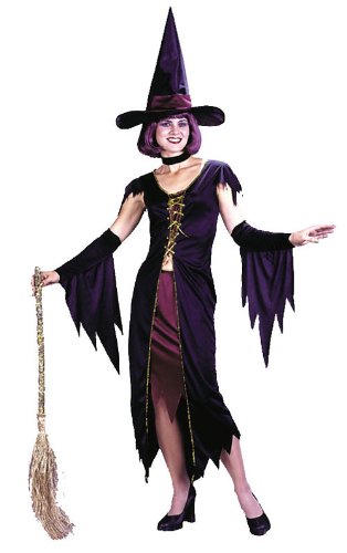 Costumes For All Occasions FW1109 Witchy Witch Standard