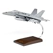 F/A-18E Super Hornet Model