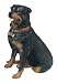 Sandicast Adult Rottweiler Sculpture