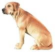 Rhodesian Ridgeback Figurine - Cold Cast Resin - 4'' Height
