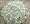 Feather Cactus Plant - Mammilliaria plumosa
