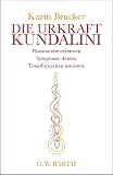 Die Urkraft Kundalini: Phänomene erkennen, Symptome deuten, Transformation meistern
