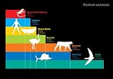 picture of Visual Aid: Stuff You\