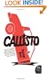 Callisto: A Novel (P.S.)