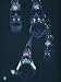 Close View of a Group of Hatchetfish Photographic Poster Print by Paul Zahl, 48x64