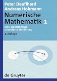 Numerische Mathematik (de Gruyter Lehrbuch)