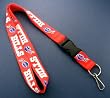 Buffalo Bills Lanyard Keychain