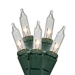 Set of 50 Clear Mini Twinkle Christmas Lights - Green Wire