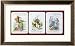 Search : Three Happy Family Cards Depicting Characters from Alice in Wonderland by Lewis Carroll (1832-98), Framed Poster Print by John Tenniel, 31x19