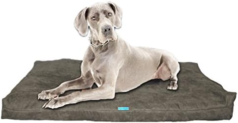 Five Diamond Collection Shredded Memory Foam Orthopedic Dog Bed with Removable Washable Cover and Water Proof Inner Fabric, Made in USA, for Small, Medium, Large, and Extra Large Breed Dogs