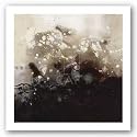 Constellations I by Laurie Maitland 24"x24" Art Print Poster