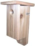 New Songbird Essentials Flat Top Chickadee House 1 1/4 Inch Entrance Hole High Quality Modern Design