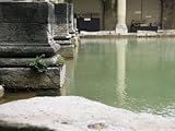 The Roman Baths, Bath, Avon, England, United Kingdom Stretched Canvas Poster Print by Fraser Hall, 24x32