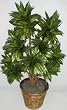 38" Artificial Dracaena Plant (Green)