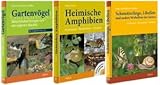 Tierparadies Garten: Gartenvögel / Heimische Amphibien / Schmetterlinge, Libellen und andere Wirbellose im Garten