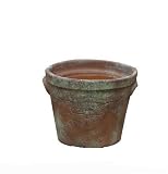 Greenhouse Collection Large Peabody Pots (Set of 4)