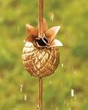 Pineapple Rain Chain
