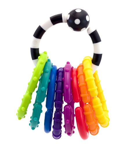 Sassy Ring O' Links Rattle Developmental Toy