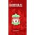 Liverpool 2009 diary