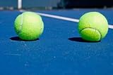 Resort Tennis Club and Tennis Courts with Balls - 72