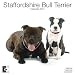 Staffordshire Bull Terrier 2010 Wall Calendar AP30473