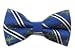 100% Silk Woven Vanguard Royal Blue Patterned Self-Tie Bow Tie