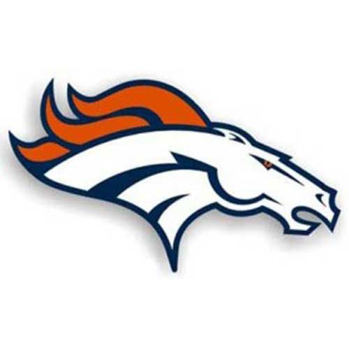 Denver Broncos NFL 12 Car Magnet