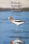 Birds of Nebraska: Their Distribution and Temporal Occurrence