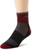 Darn Tough Vermont Merino Wool 1/4 Mesh Sock