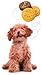Three Dog Bakery Beg-Als Peanut Butter Dog Treats, 32-Ounce