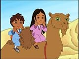 Egyptian Camel Adventure