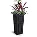 Mayne 4833B Nantucket Tall Planter, 15.5 by 15.5 by 32-Inch, Black
