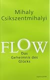 Flow: Das Geheimnis des Gl&uuml;cks
