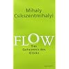 Flow: Das Geheimnis des Gl�cks