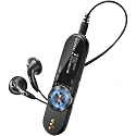 Sony - NWZB162B.CEW - Lecteur mp3 - 2 Go - USB - Noir