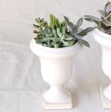solxsol �����A�� Decorative stand pot S 10906