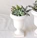 solxsol �����A�� Decorative stand pot S 10906
