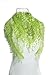 Suppion Fashion Lace Tassel Sheer Burntout Floral Print Triangle Mantilla Scarf Shawl (Green)
