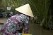 Wallmonkeys Peel and Stick Wall Decals - Vietnamese Woman Operating a Boat - Removable Graphic