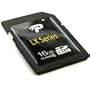 Patriot Signature PSF16GSDHC10 LX Series 16 GB Class 10 SDHC Flash Memory Card (Black)