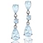 14k White Gold Aquamarine Dangle Earrings