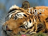 Tiger 2011