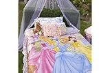 IMAGE OF Disney Store Spring Fair Princess Duvet Coverlet Dust Ruffle and Throw Full