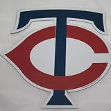Minnesota Twins Cap Logo TC MLB Car Magnet